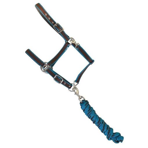 Nylon Bridle With Lead PonyBlue-Brown