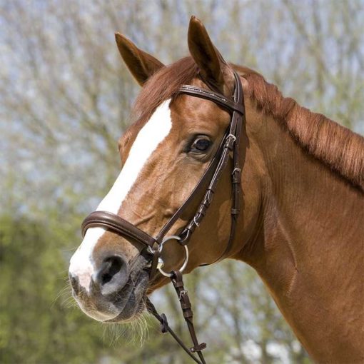 Kieffer Bridle For Snaffle OliviaCobBrown
