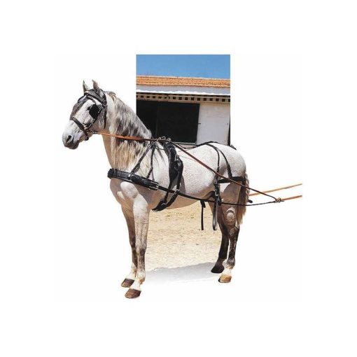 Anhängerkupplung mit Vorderzeug für ein Pferd, Schnalle InoxFullBlack