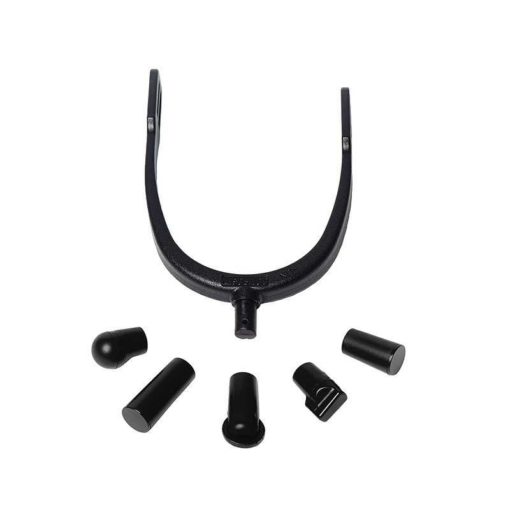 Compositi Hot Spur Spur With 5 Interchangeable Heads